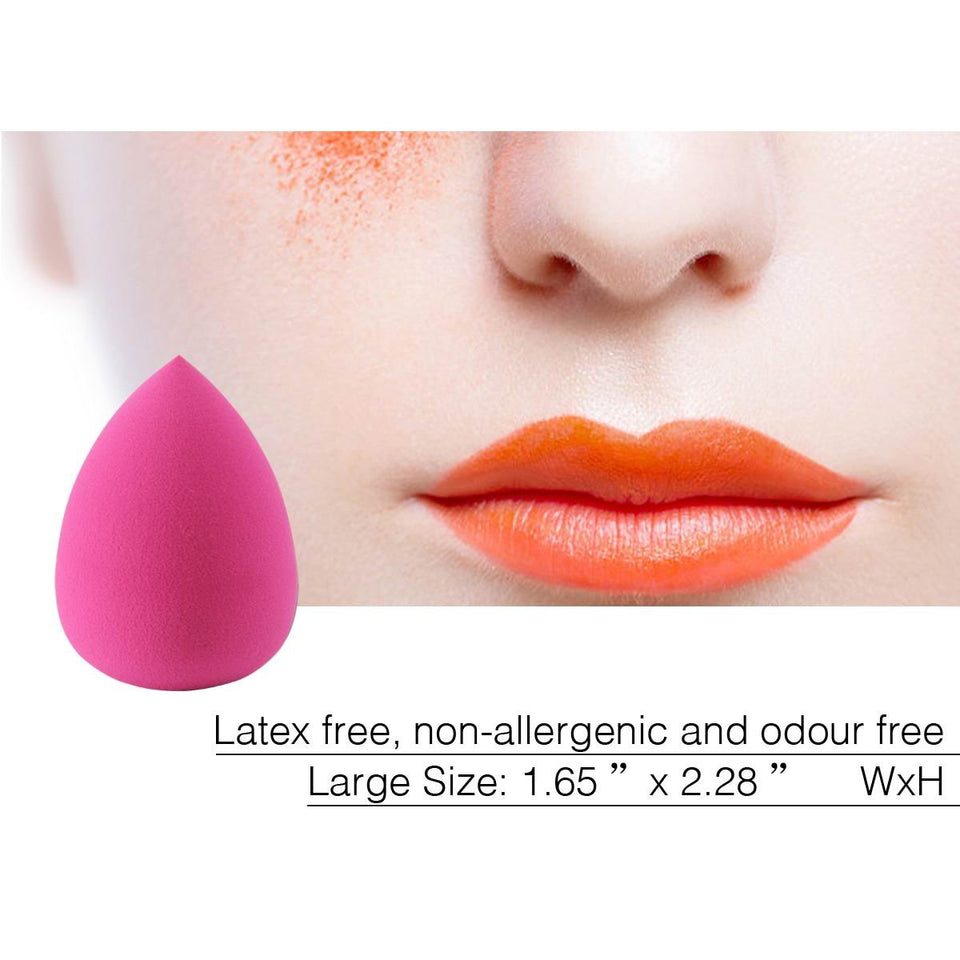 EmaxDesign 10+1 Pieces Makeup Brush Set, 10 Pieces Professional Foundation Blending Blush Eye Face Liquid Powder Cream Cosmetics Brushes & 1 Piece Rose Red Beauty Sponge Blender