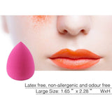 EmaxDesign 10+1 Pieces Makeup Brush Set, 10 Pieces Professional Foundation Blending Blush Eye Face Liquid Powder Cream Cosmetics Brushes & 1 Piece Rose Red Beauty Sponge Blender
